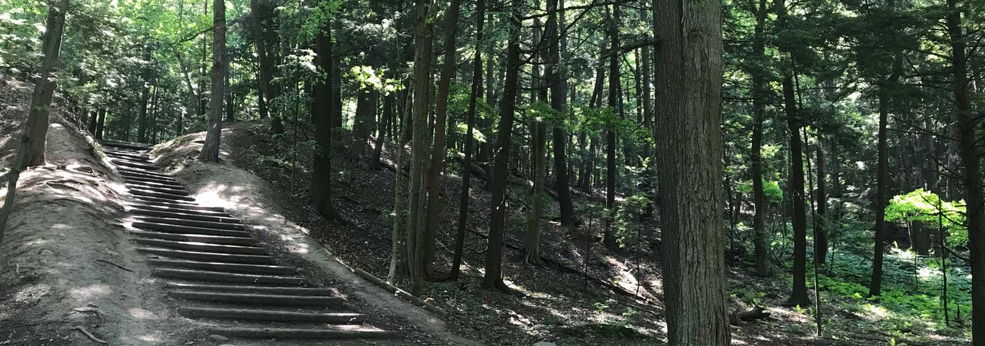 A stairway into the forest on the Mast Trail in Rouge National Urban Park. Photo taken 1 July 2018.
