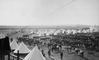 5th Canadian Mounted Rifles (left) in camp at Durban.