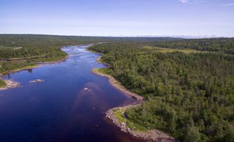 La rivière Gander (Terre-Neuve)