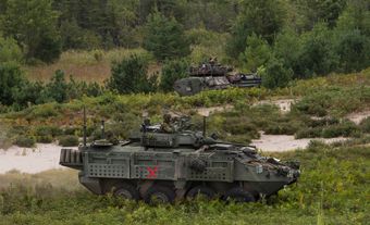 Deux véhicules blindés dans une clairière, avec des arbres en arrière-plan.