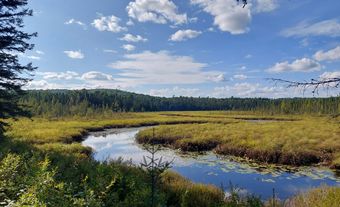 Rivière serpentant à travers une zone humide.