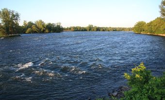 A wide river bordered by greenery.
