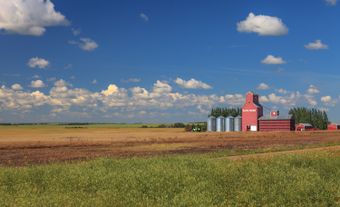 Farmland with barn.