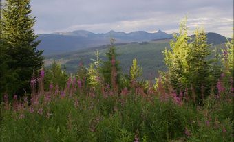 Vue de la chaîne Cariboo