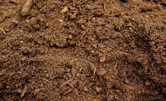 Picture of soil.