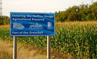 The Greenbelt is about 800,000 hectares of permanently protected green space and farmland in Ontario.