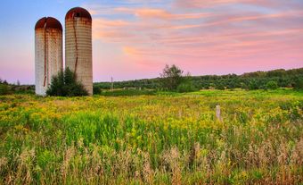 En 2001, 190 000 hectares de la moraine d’Oak Ridges, un système de patrimoine naturel essentiel à l’approvisionnement en eau potable des Ontariens, sont protégés par la loi.