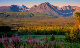 Sunrise by Haines Junction with fireweed in the foreground and the Kluane range in the background.