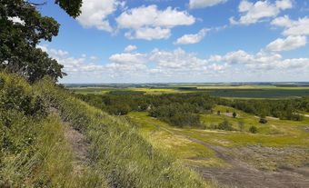 Paysage