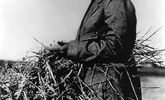 E. Cora Hind, journalist