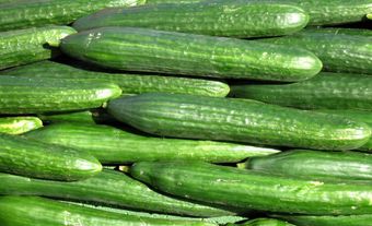 Cucumber