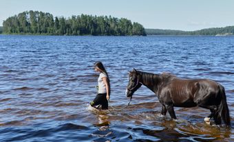 Lac La Croix Indigenous Pony