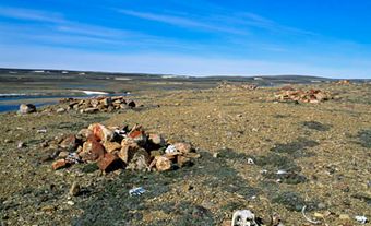 Parc national Aulavik