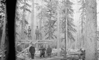 Lumberjacks in British Columbia or Alberta, 1920