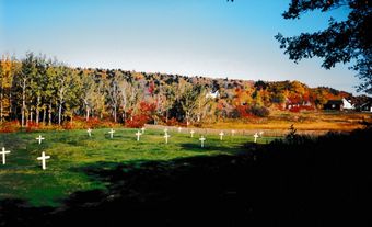 The Irish Cemetery, Grosse Île