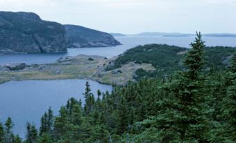 Coast of Terra Nova National Park