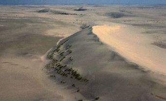 Dunes de sables (Athabasca)