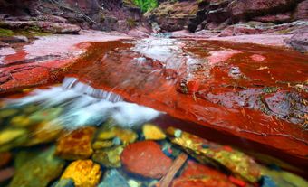 Red Rock Canyon Waterton Lakes Park