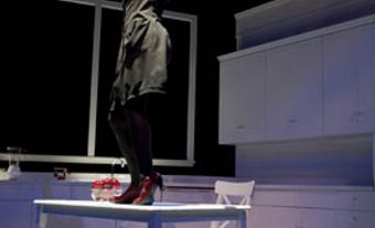 Nightwood Theatre