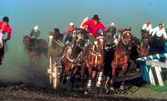 Chuckwagon Race, High River