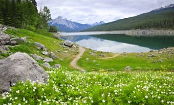 Medicine Lake au parc national Jasper