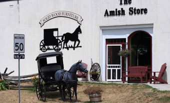 The Amish Store
