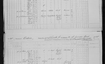 Census of 1871 (English)