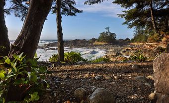 Ucluelet Trail