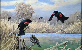 <i>Blackbirds</i>