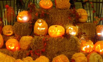 Halloween Pumpkins
