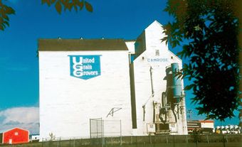 Grain Elevator, Camrose