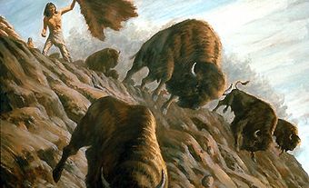 Chasse aux bisons : saut de bison