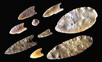 Debert Artifacts