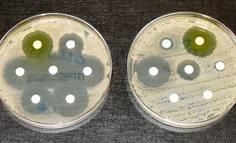 Antibiotic resistance tests