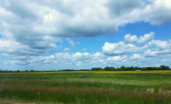 Prairies albertaines
