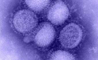 virus de la grippe H1N1
