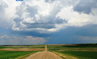 Une route traverse des champs de blé de la Saskatchewan