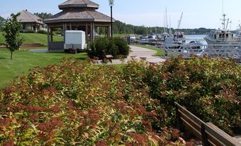 Riverfront Park in Montague, PEI. The old train station is on the left, and a marina is on the right.