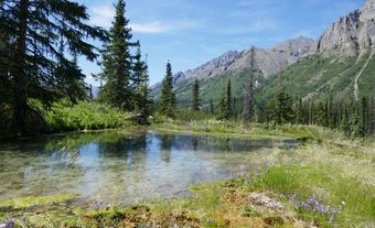 De l’eau et des montagnes en arrière-plan.
