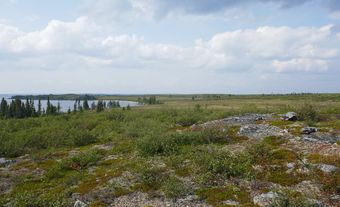 Paysage de toundra.