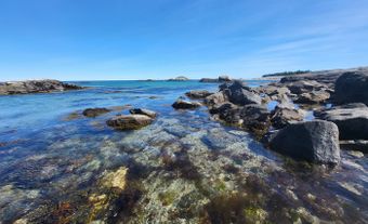 Plage rocheuse aux eaux claires.