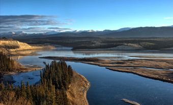 Frosty Yukon River floodplain.