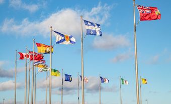 All the Canadian flags flying side by side.