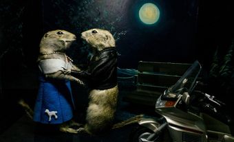 Two taxidermized gophers in clothes.