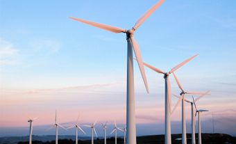 A dozen wind turbines.