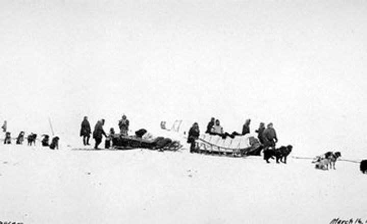 Canadian Arctic Expedition